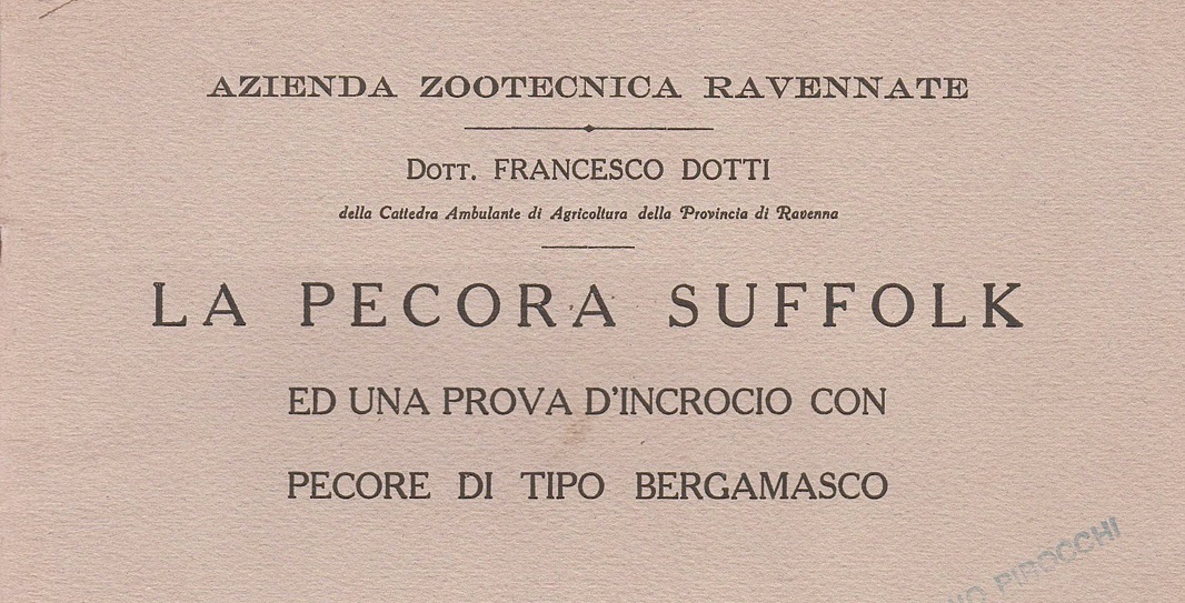 Immagine del titolo del volume "La pecora Suffolk"